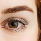 Brow Tint: Everything You Need to Know Before Your Appointment