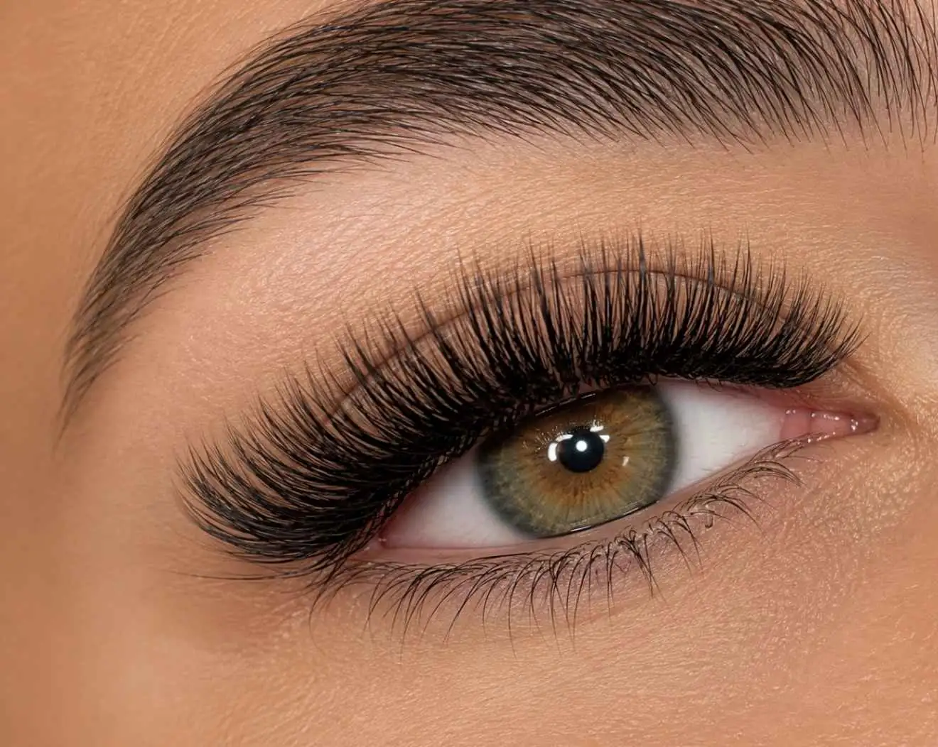 volume-lashes volume-lashes